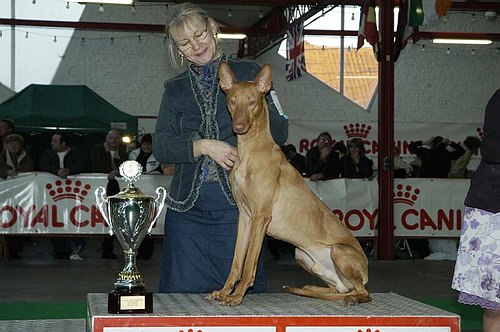 gal/Expo_janvier_2006/DSC_5749.jpg