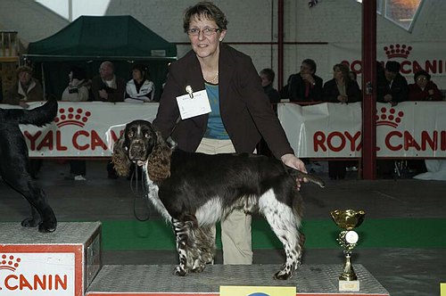 gal/Expo_janvier_2006/DSC_5760.jpg