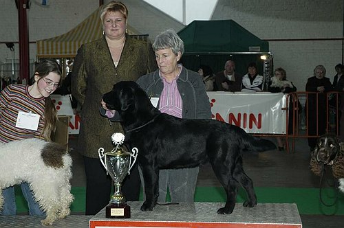 gal/Expo_janvier_2006/DSC_5762.jpg