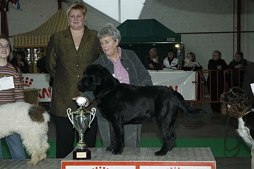 gal/Expo_janvier_2006/DSC_5763.jpg