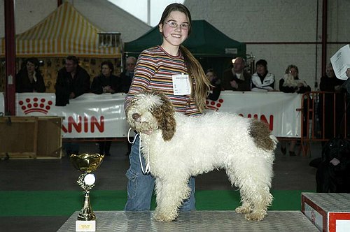 gal/Expo_janvier_2006/DSC_5766.jpg