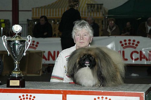 gal/Expo_janvier_2006/DSC_5778.jpg