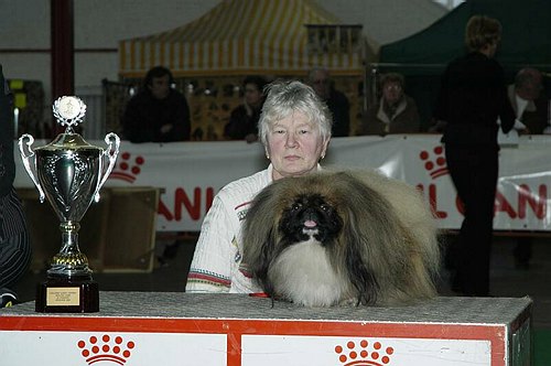 gal/Expo_janvier_2006/DSC_5779.jpg