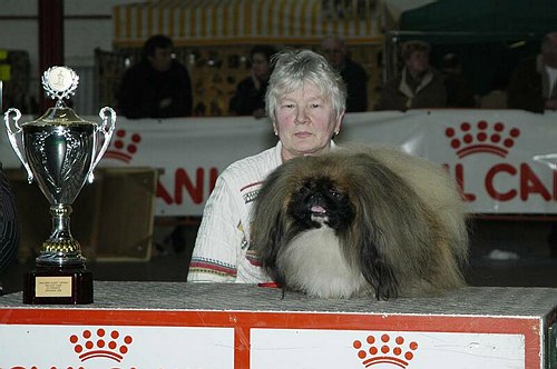 gal/Expo_janvier_2006/DSC_5780.jpg