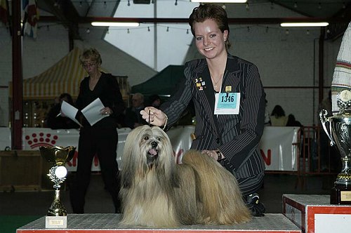 gal/Expo_janvier_2006/DSC_5784.jpg