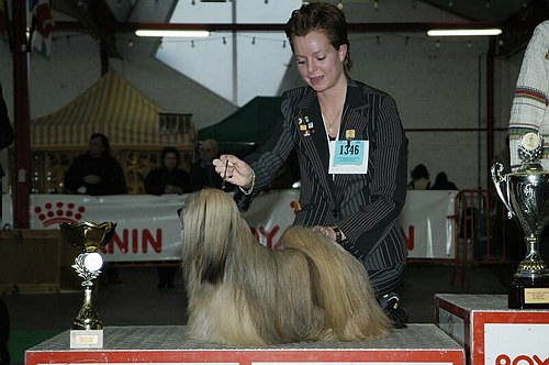 gal/Expo_janvier_2006/DSC_5785.jpg