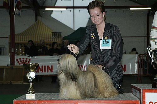 gal/Expo_janvier_2006/DSC_5786.jpg