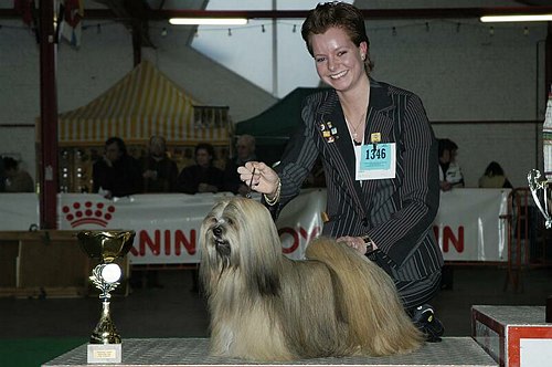 gal/Expo_janvier_2006/DSC_5787.jpg