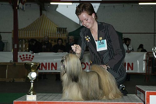 gal/Expo_janvier_2006/DSC_5788.jpg