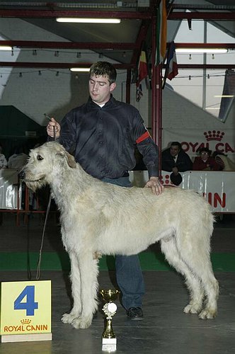 gal/Expo_janvier_2006/DSC_5793.jpg