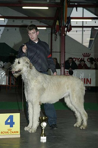 gal/Expo_janvier_2006/DSC_5795.jpg