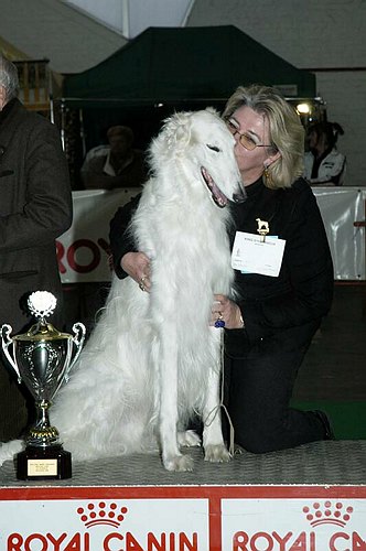 gal/Expo_janvier_2006/DSC_5800.jpg