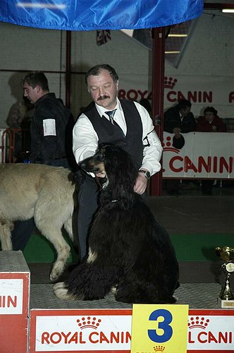 gal/Expo_janvier_2006/DSC_5802.jpg