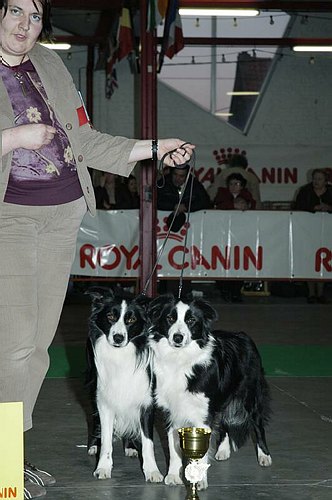 gal/Expo_janvier_2006/DSC_5804.jpg