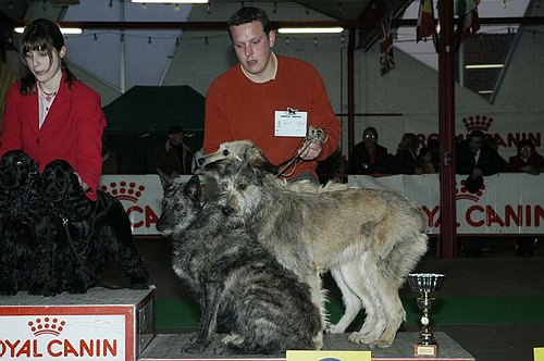 gal/Expo_janvier_2006/DSC_5815.jpg