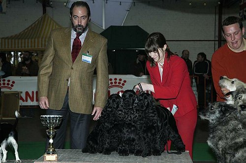 gal/Expo_janvier_2006/DSC_5816.jpg