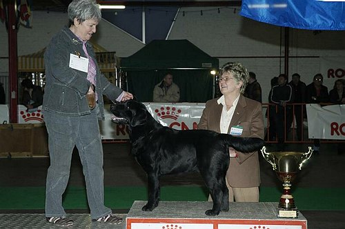 gal/Expo_janvier_2006/DSC_5832.jpg