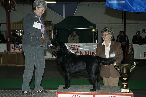 gal/Expo_janvier_2006/DSC_5833.jpg