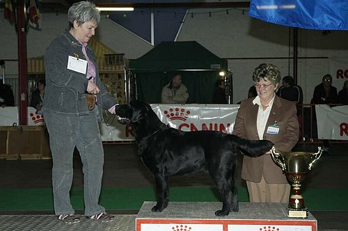 gal/Expo_janvier_2006/DSC_5834.jpg