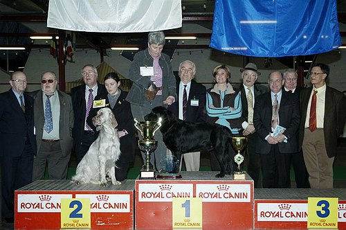 gal/Expo_janvier_2006/DSC_5837.jpg