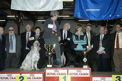 gal/Expo_janvier_2006/DSC_5843.jpg