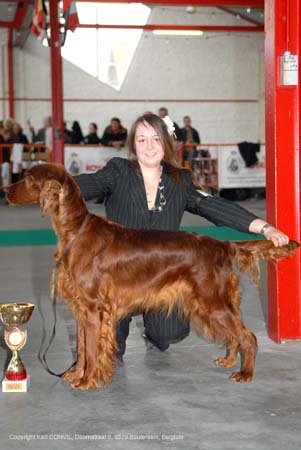 gal/Expo_janvier_2008/zoom.jpg