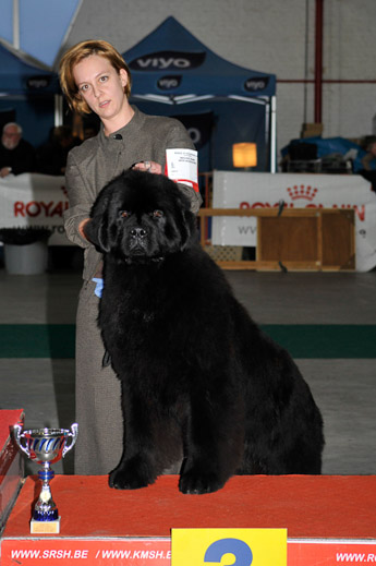 gal/Expo_janvier_2009/_KD30849.jpg