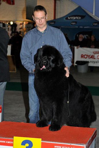 gal/Expo_janvier_2009/_KD30853.jpg