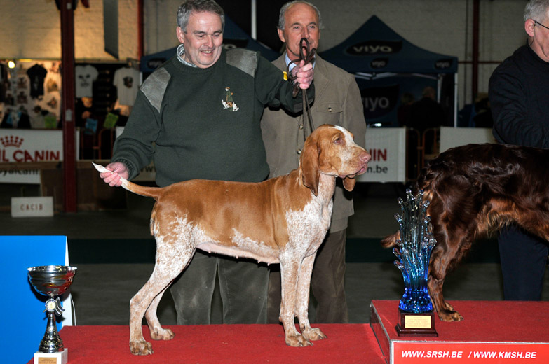 gal/Expo_janvier_2009/_KD30945.jpg