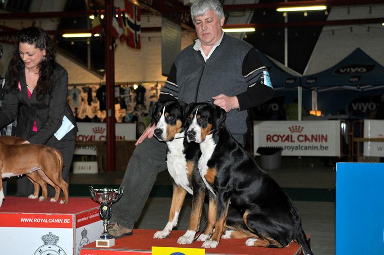 gal/Expo_janvier_2009/_KD30957.jpg