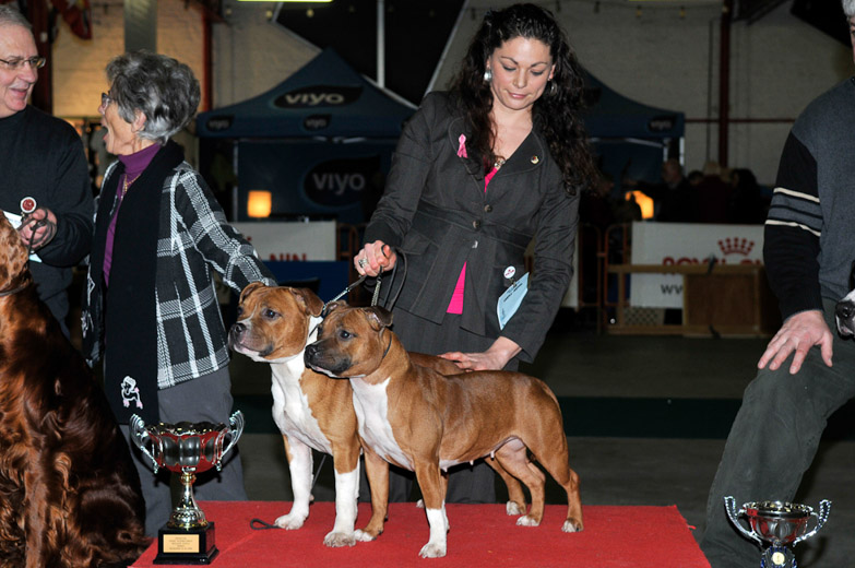 gal/Expo_janvier_2009/_KD30959.jpg