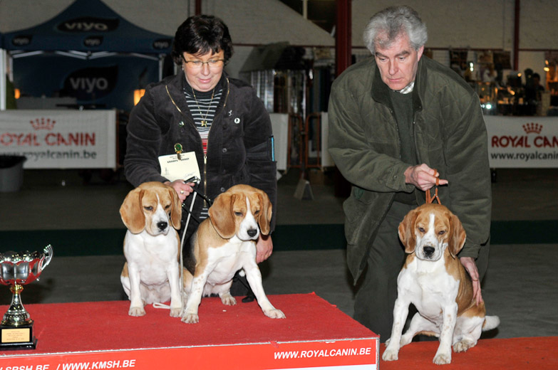 gal/Expo_janvier_2009/_KD30975.jpg