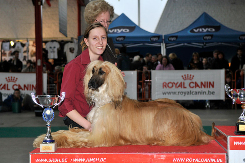 gal/Expo_janvier_2009/_KD31108.jpg