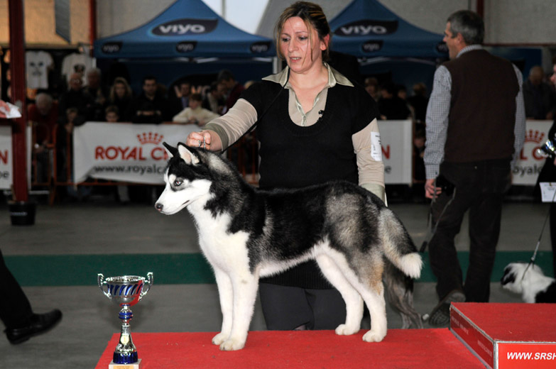 gal/Expo_janvier_2009/_KD31129.jpg