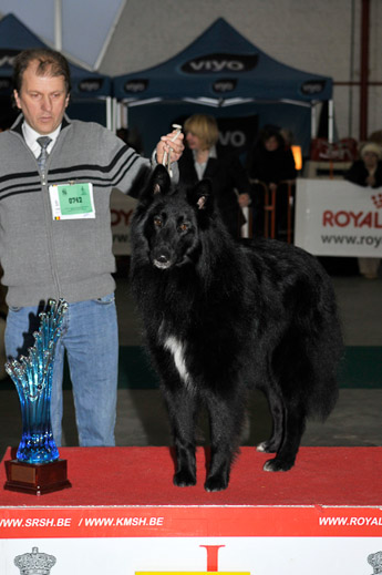 gal/Expo_janvier_2009/_KD31179.jpg