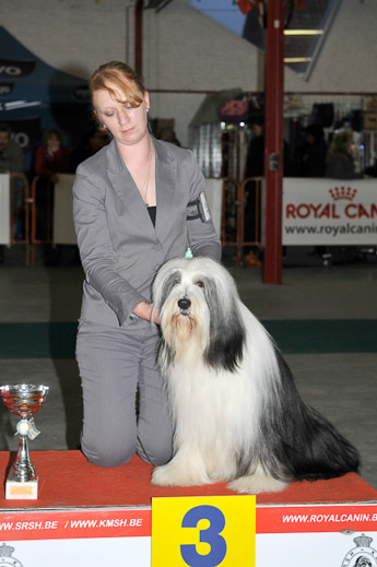 gal/Expo_janvier_2009/_KD31190.jpg