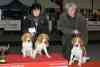 gal/Expo_janvier_2009/_thb__KD30975.jpg