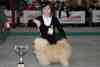 gal/Expo_janvier_2009/_thb__KD31095.jpg