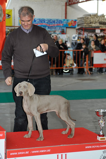 gal/Expo_janvier_2011/_KD31949.jpg