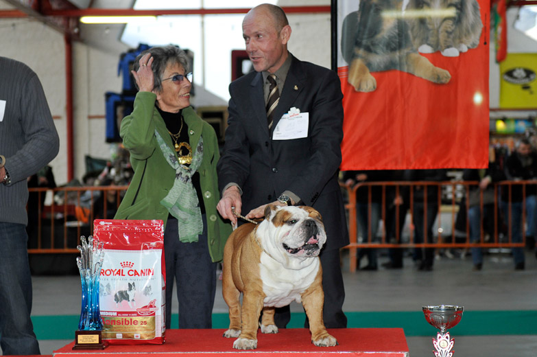 gal/Expo_janvier_2011/_KD32007.jpg