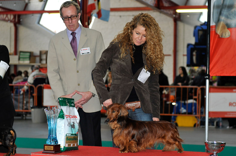 gal/Expo_janvier_2011/_KD32040.jpg