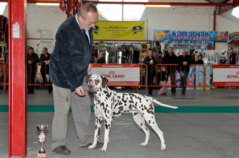 gal/Expo_janvier_2011/_KD32051.jpg