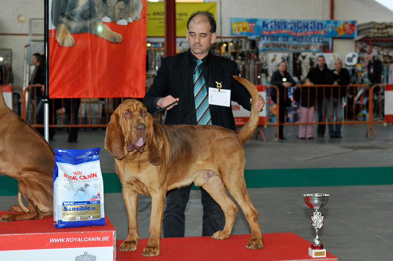 gal/Expo_janvier_2011/_KD32059.jpg