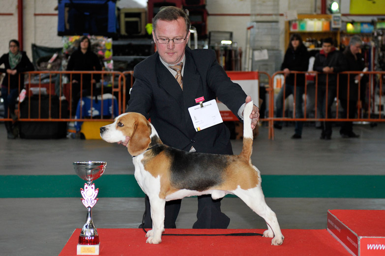 gal/Expo_janvier_2011/_KD32066.jpg