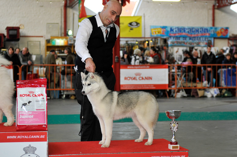 gal/Expo_janvier_2011/_KD32236.jpg