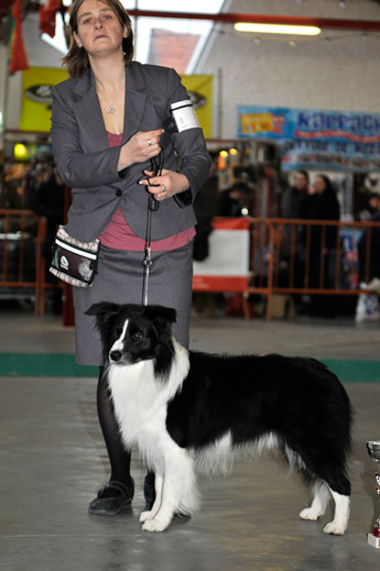 gal/Expo_janvier_2011/_KD32276.jpg