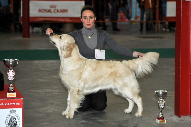 gal/Expo_janvier_2011/_KD32310.jpg