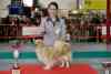 gal/Expo_janvier_2011/_thb__KD32208.jpg