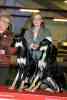 gal/Expo_janvier_2011/_thb__KD32365.jpg