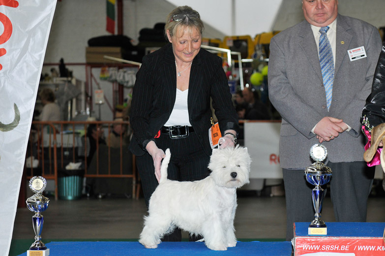 gal/Expo_janvier_2012/_KD36667.jpg